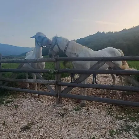 Σπίτι διακοπών Vikendica Nole Jahorina *